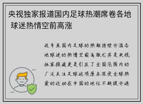 央视独家报道国内足球热潮席卷各地 球迷热情空前高涨